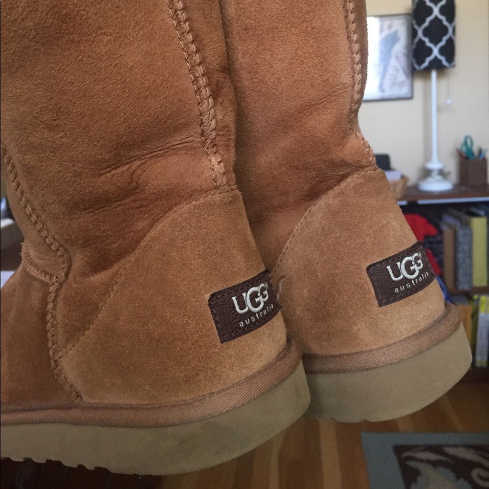 Classic Tall Chestnut UGG Boot